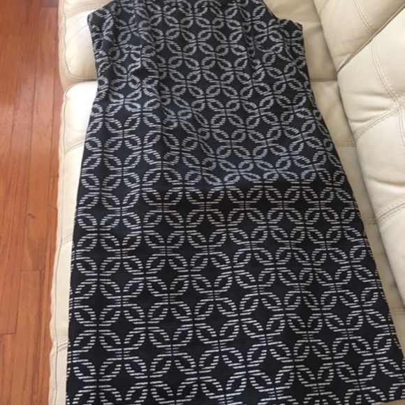 EVAN-PICONE - Picture 6 of 7